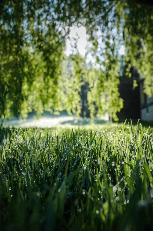 L'herbe Haute Honfleur